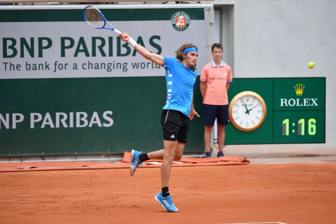 狒狒趁鸟巢 狒狒趁鸟巢