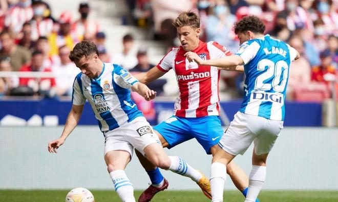 且具备组织 且具备组织