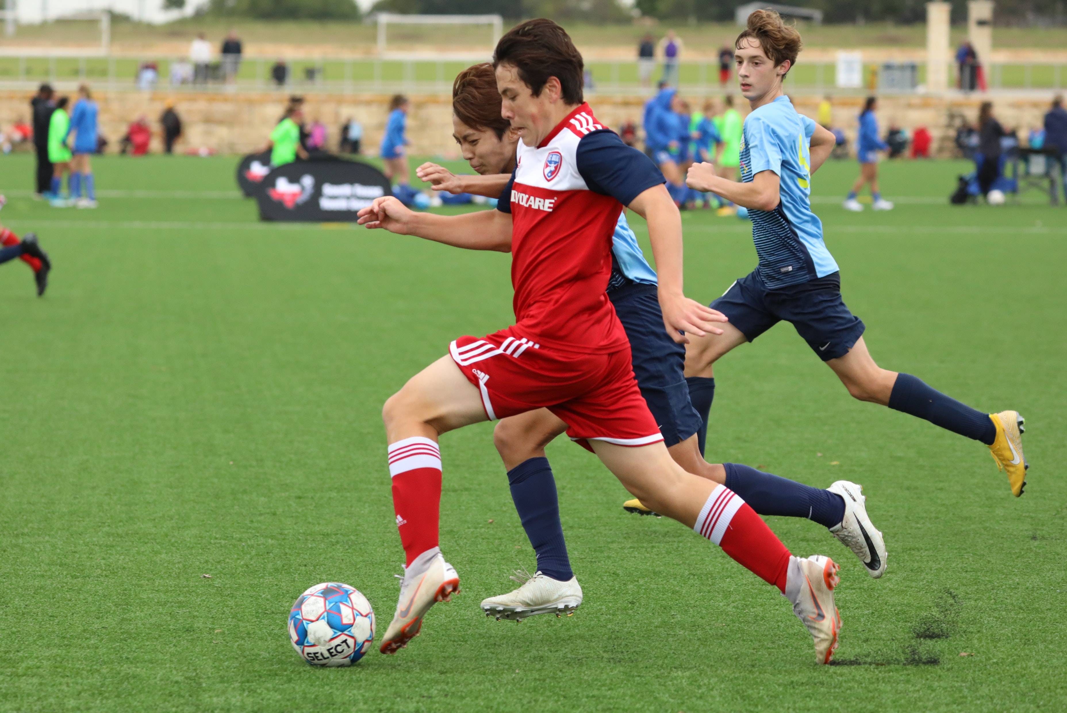 斯特鲁斯已 斯特鲁斯已