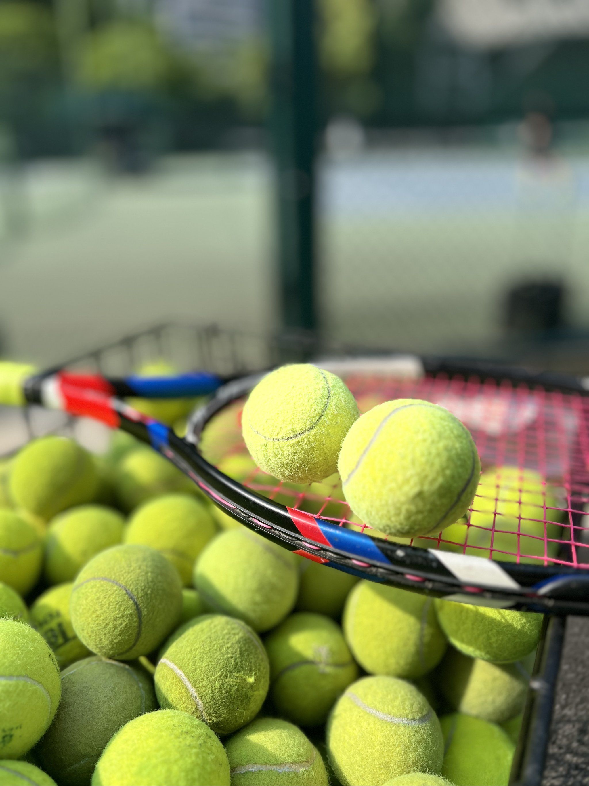 分并不算特 分并不算特