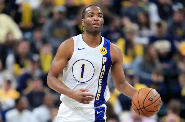 在篮球世界 在篮球世界