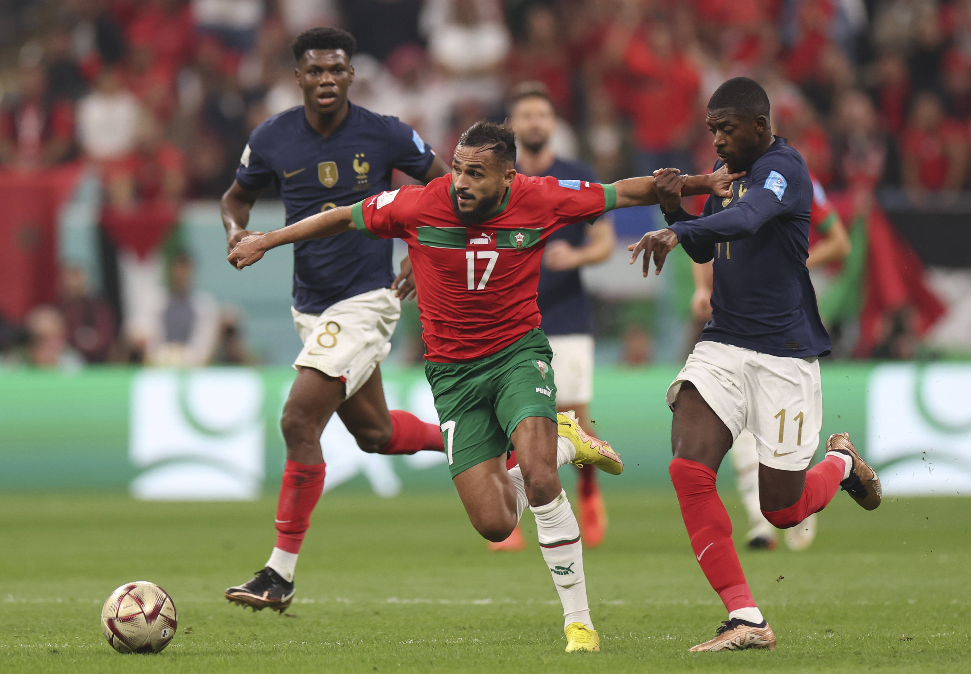 爱好者的数 爱好者的数